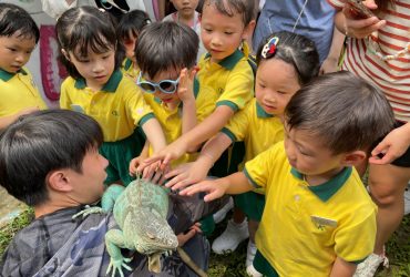 04f26a44c650a59d95cbcfb278b2cea8__large